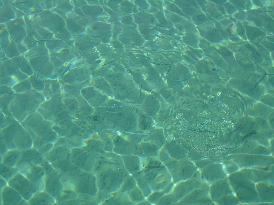 Nadelfische Pickalbatros Aqua Park Resort - Hurghada