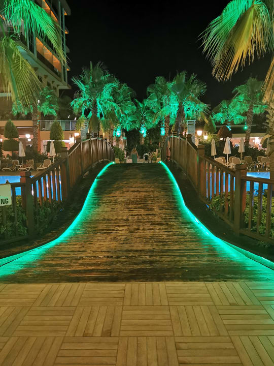 Sonstiges Dizalya Palm Garden