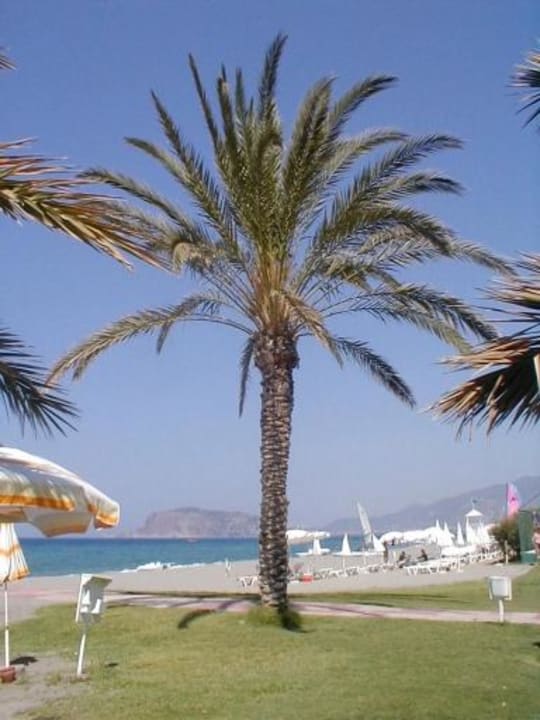 Strandblick auf Alanya Labranda Alantur Resort