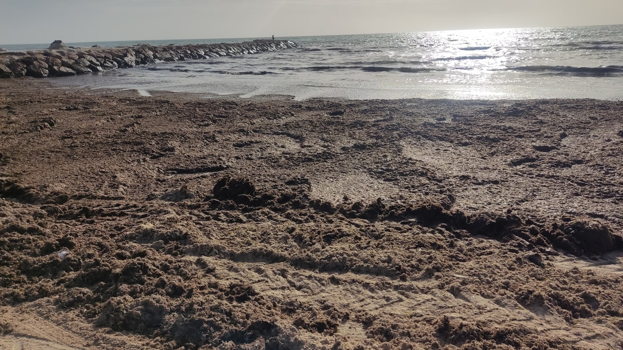 Strand Djerba Castille