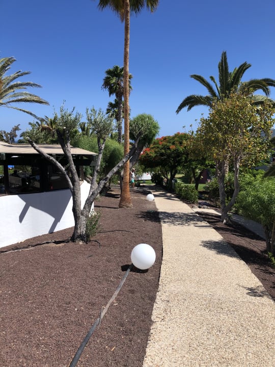 Gartenanlage allsun App.-Hotel Esquinzo Beach