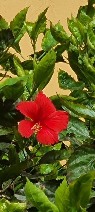 Außenansicht Stella Beach Resort & Spa Makadi Bay