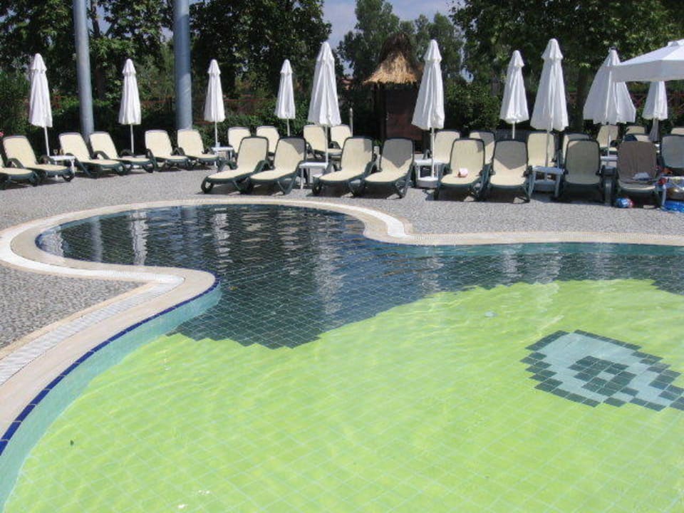 Dla dzieci Alba Resort Hotel