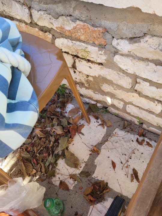 Pool Asteria Family Belek