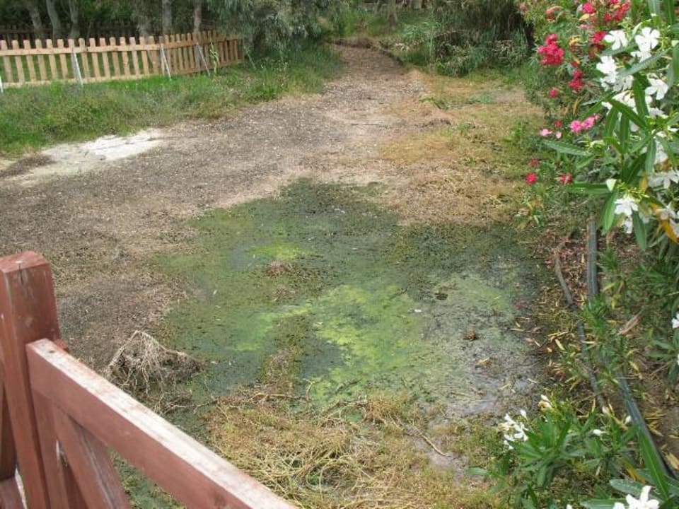 Fluss im Hotel Sandy Beach Resort