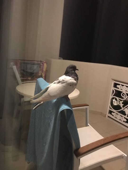 Sonstiges Rodos Palladium Leisure & Wellness