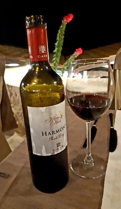 Gastro Hotel Kalithea Horizon Royal