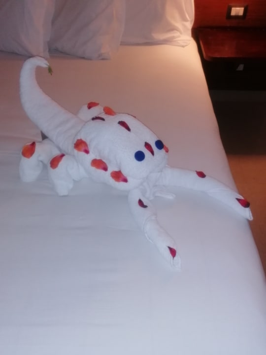 Zimmer Stella Garden Resort & Spa, Makadi Bay