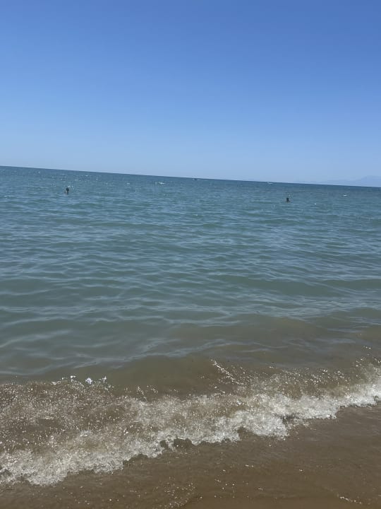 Strand PALOMA Perissia