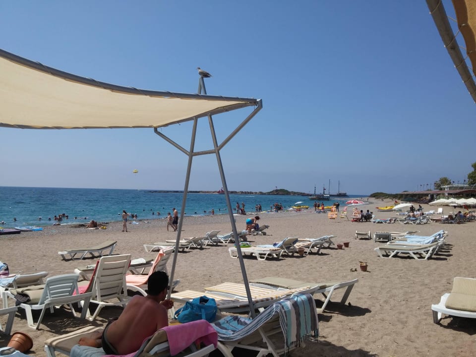 Netter Sand-Steine Strand Mira Meridia Beach Hotel