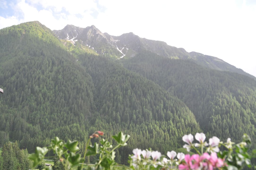 Ausblick Genießer- & Wanderhotel Jägerhof