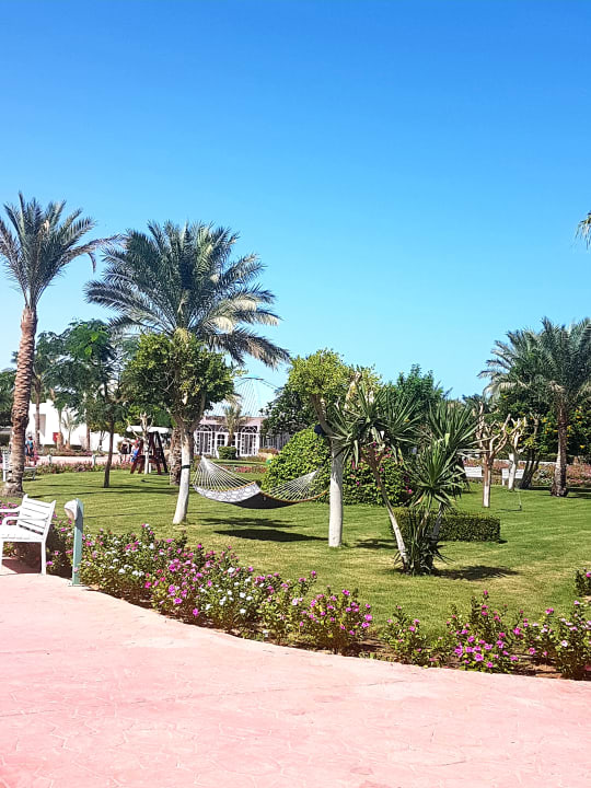 Gartenanlage Desert Rose