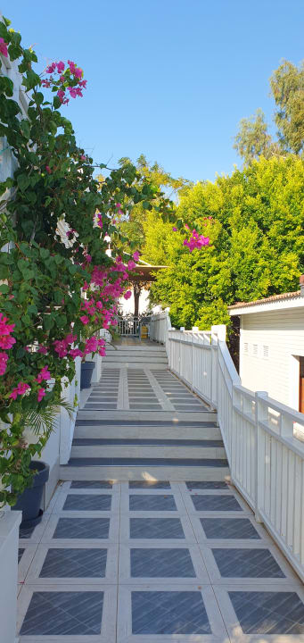 Gartenanlage Can Garden Resort