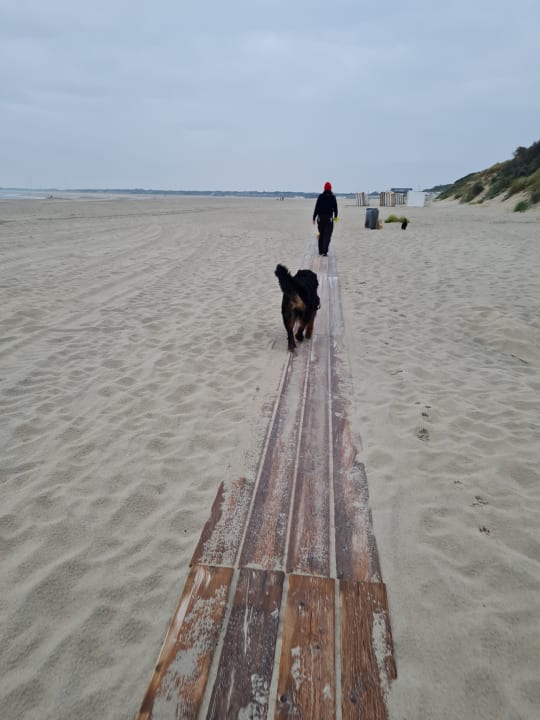 Strand Roompot Camping De Zandput