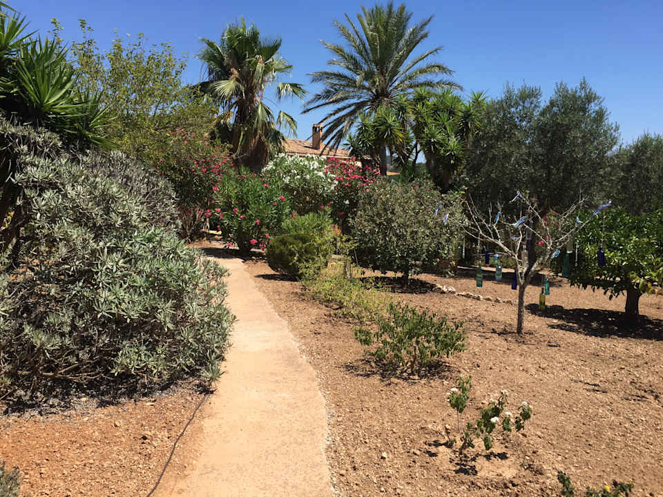 Gartenanlage Finca Oase Can Negre
