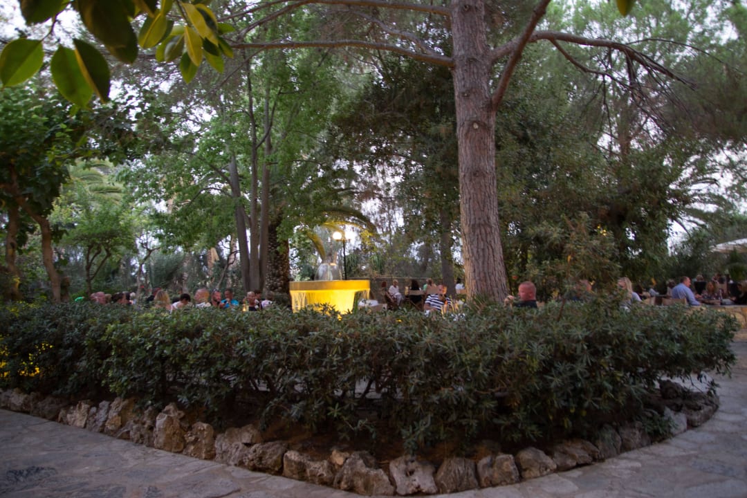 Aussenbereich der Lobbybar Apollonia Beach Resort & Spa