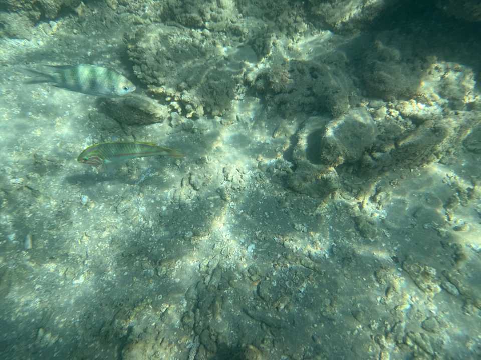 Strand Hotel Titanic Palace