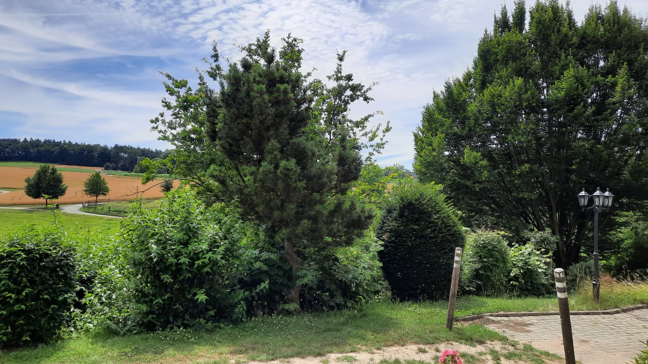 Ausblick Ringhotel Landhotel Buller