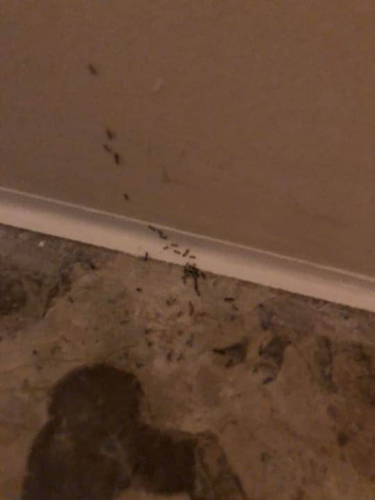 Zimmer Charmillion Club Aqua Park