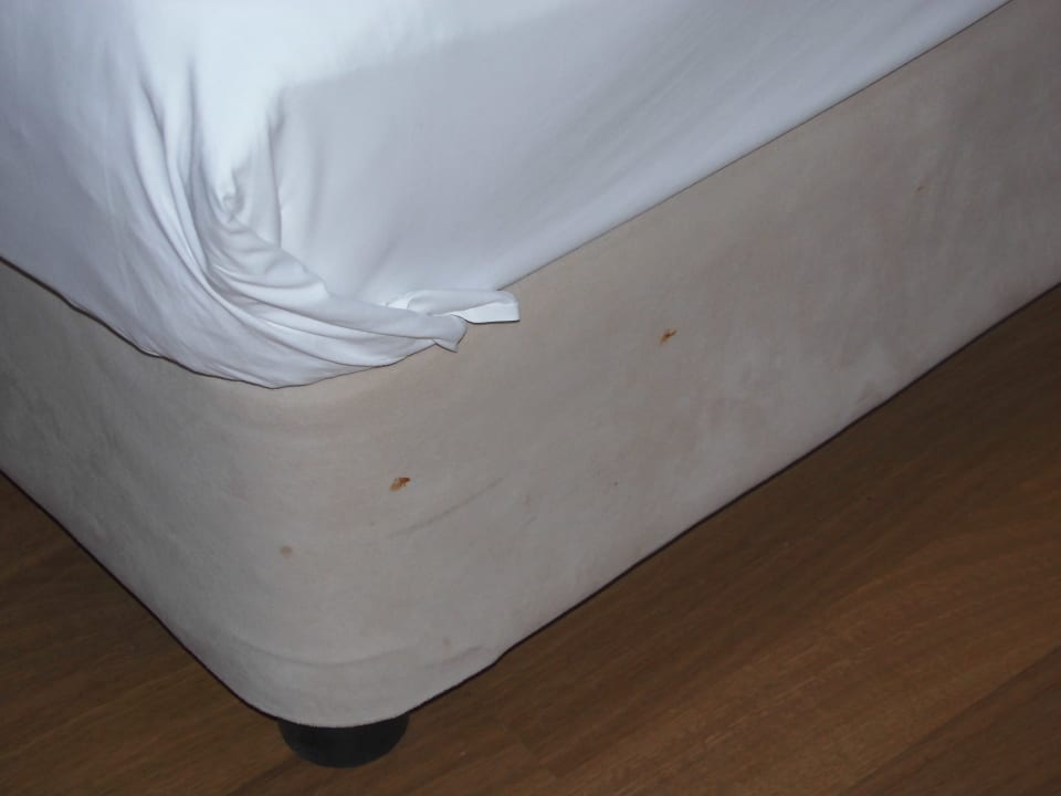 Zimmer Selectum Family Comfort Side
