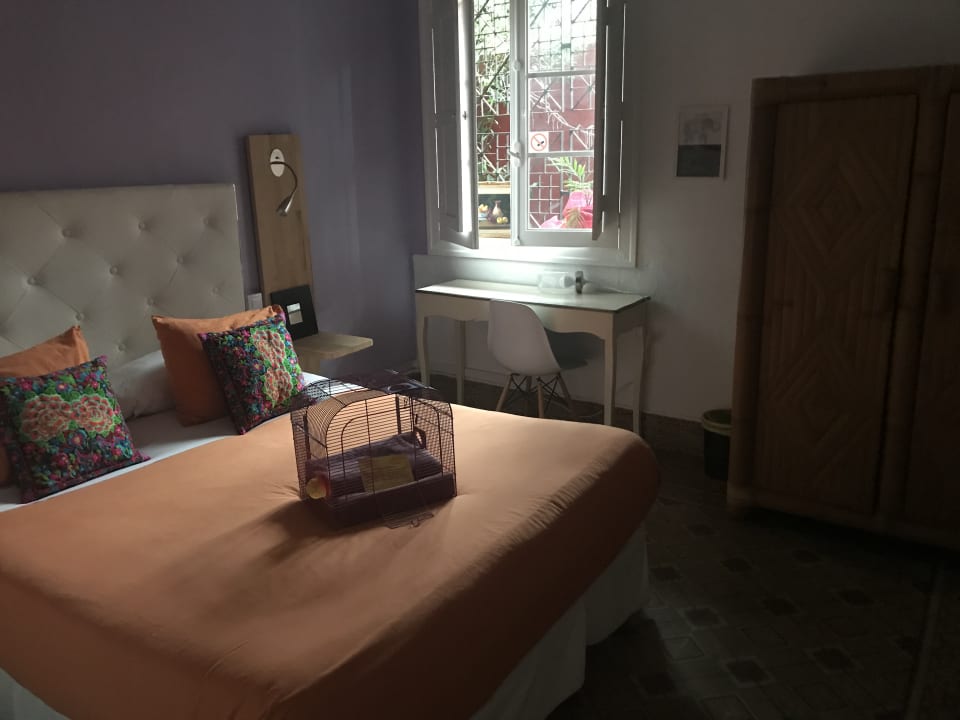 Sehr schönes, individuelles Doppelzimmer Gästehaus Katanka