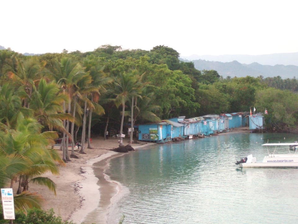 Balkonblick Zimmer 530 Senator Puerto Plata Hotel