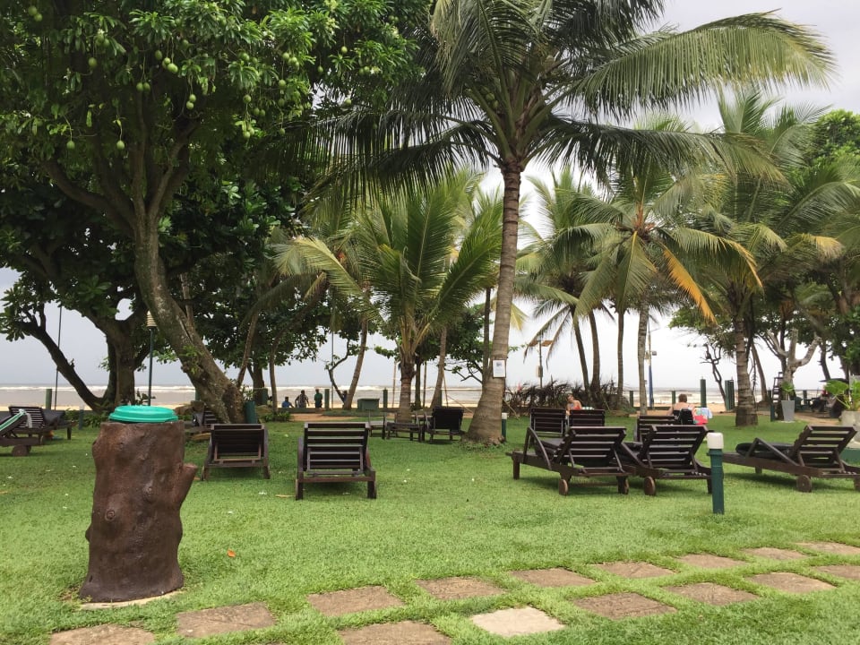 Liegen Occidental Eden Beruwala, a member of Barcelo Hotel Group