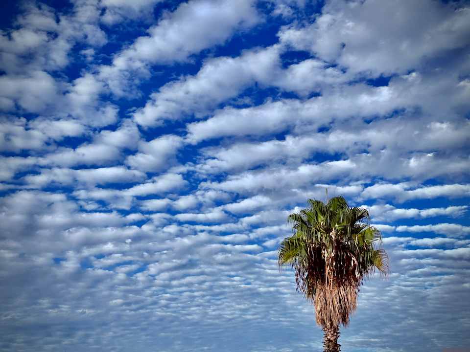 Gartenanlage Kassandra Palace Seaside Resort