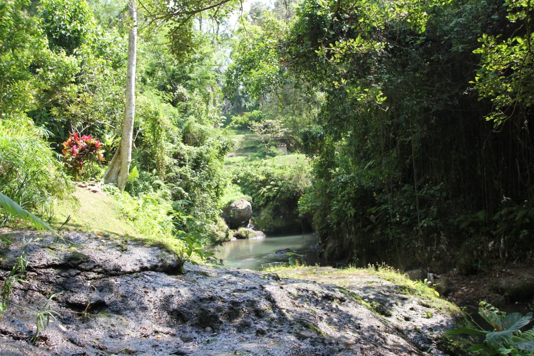 Nature Walk am River vorbei Maya Ubud Resort & Spa Bali
