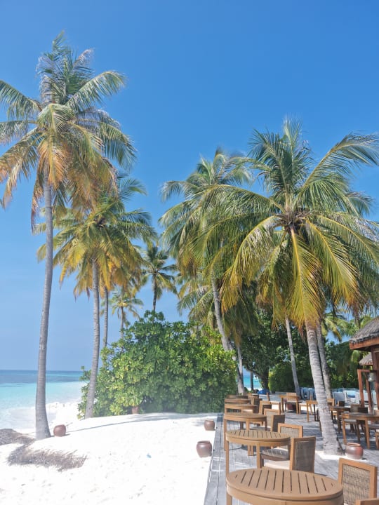 Strand Mirihi Island Resort