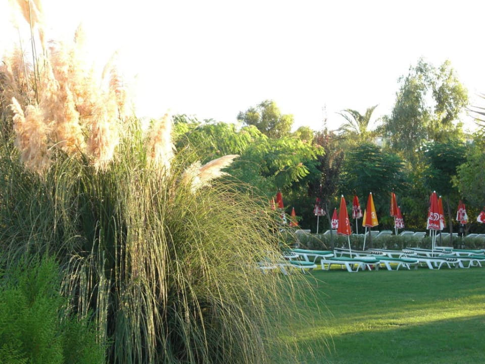 Liegen im Garten Trendy Aspendos Beach Hotel