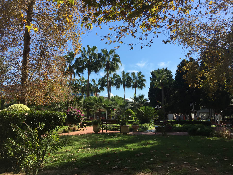 Garten Lonicera Resort & Spa Hotel
