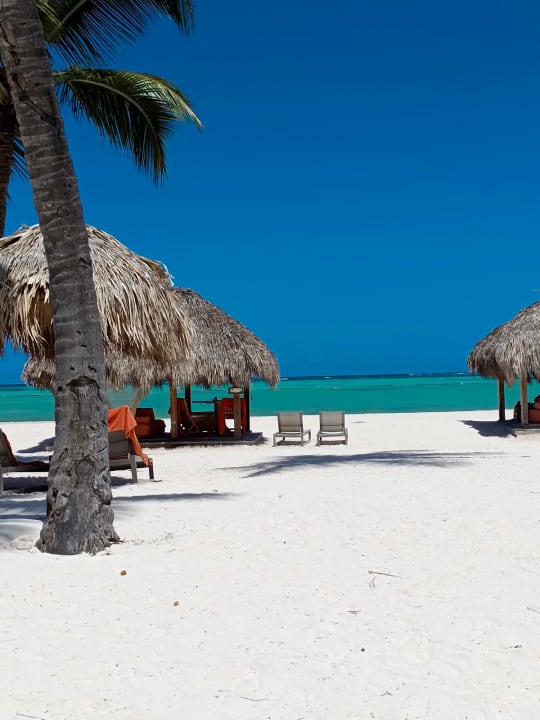 Strand Secrets Cap Cana Resort & Spa - Adults only