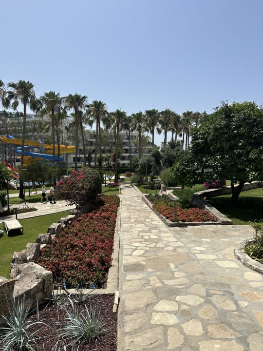 Gartenanlage Arum Barut Collection