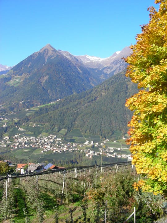Blick auf Dorf Tirol Pension Hahnenkamm