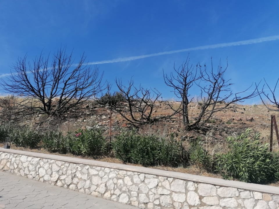 Ausblick Rodos Princess Beach Hotel & Spa