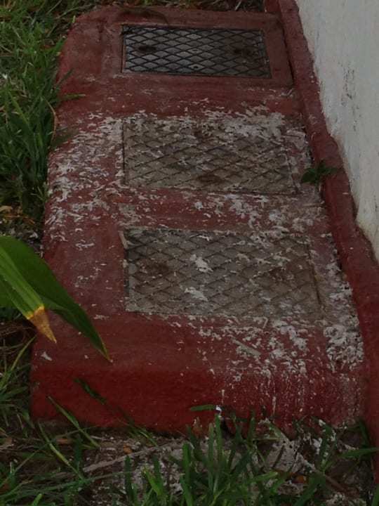 Güllegrube direkt am Zimmer Karafuu Beach Resort & Spa