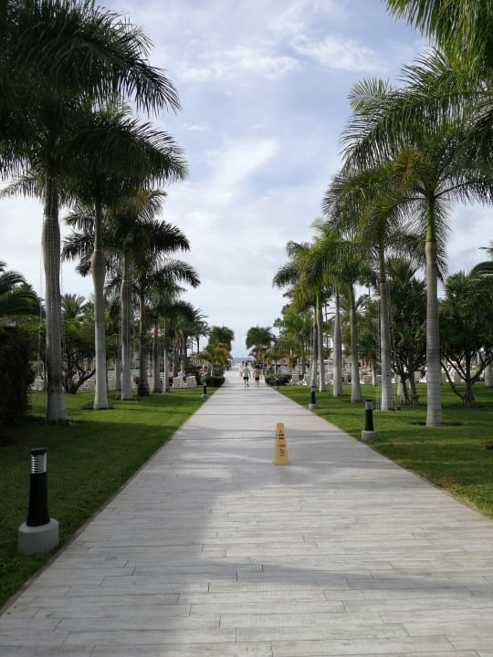 Gartenanlage Hotel Riu Palace Meloneras
