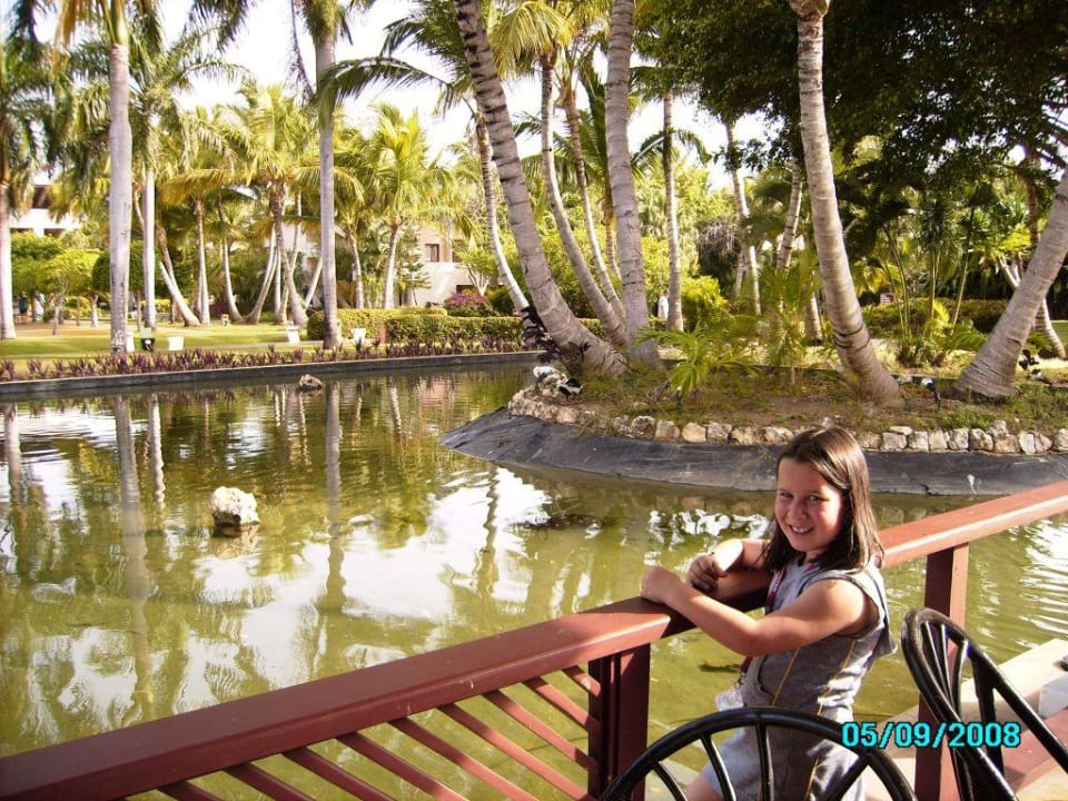 super Ausblick Catalonia Punta Cana - All Inclusive