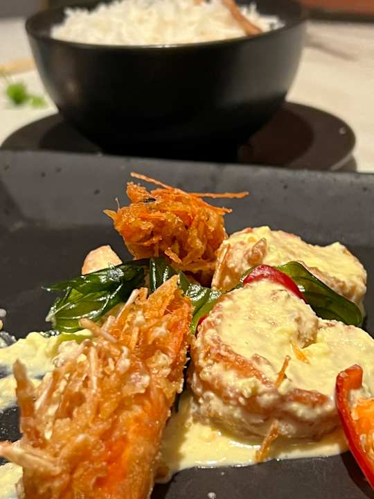 Gastro JAZ Elite Asteria
