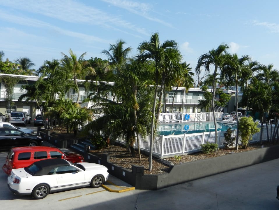 Großer und schön begrünter Pool Motel Blue Marlin