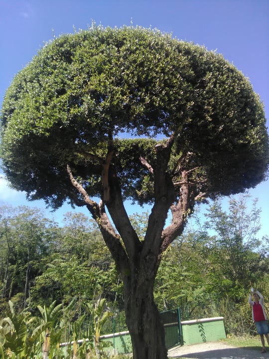 Gartenanlage Aldiana Club Rocca Nettuno Calabria