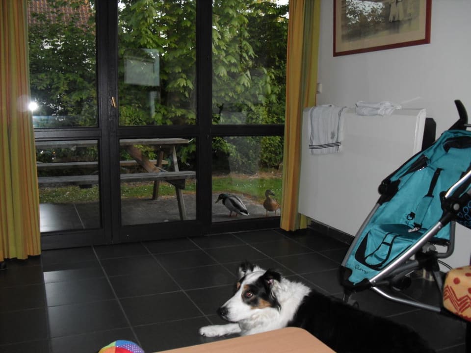 Blick aus dem Wohnzimmer Center Parcs Park De Haan