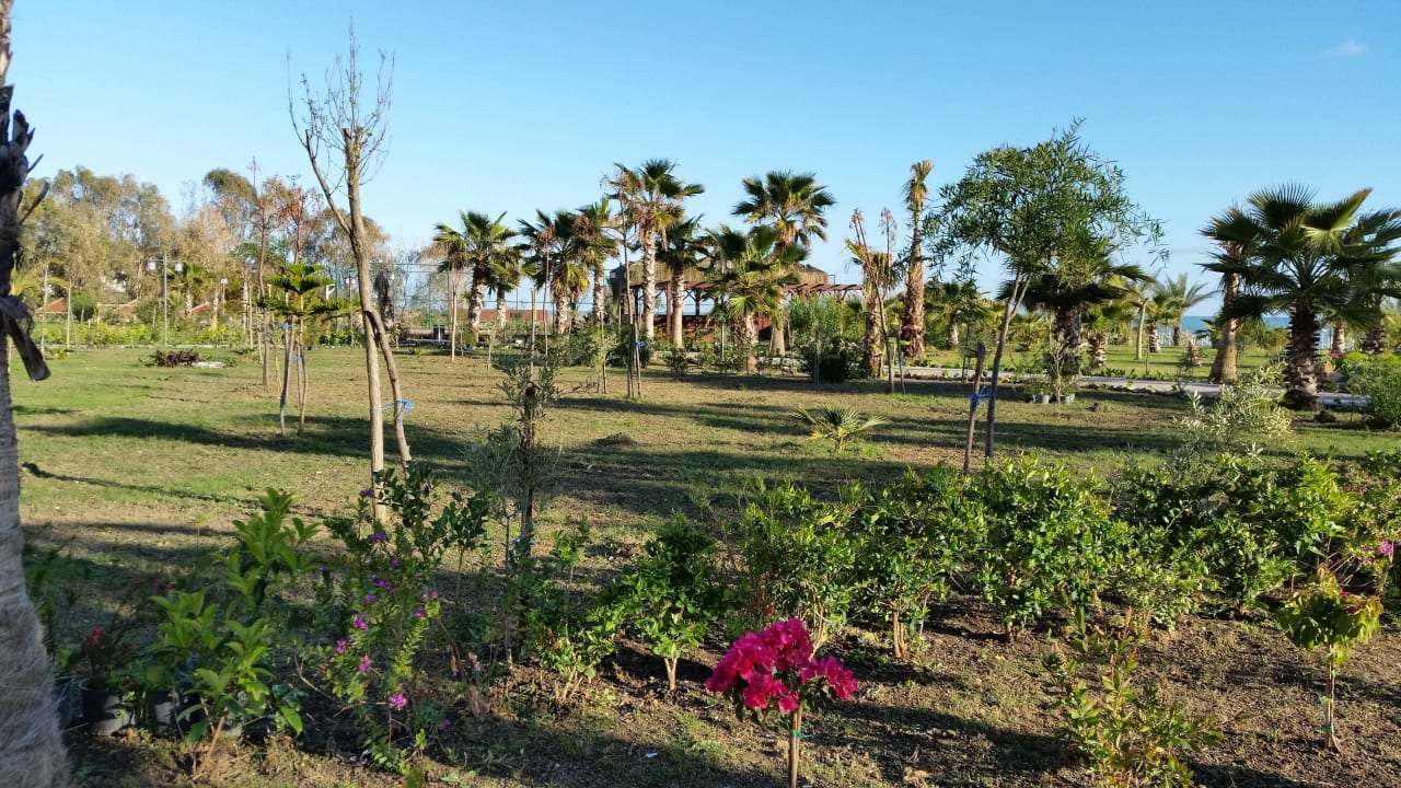 Sehr grün Seaden Sea Planet Resort & Spa