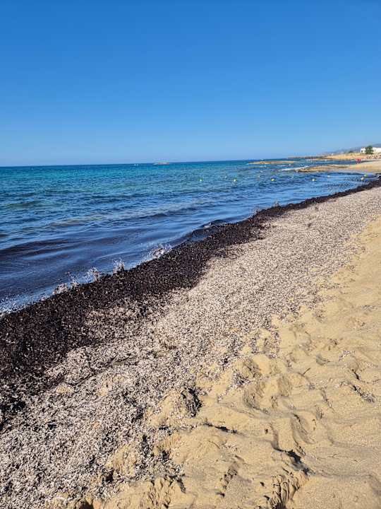 Strand Calimera Sirens Beach
