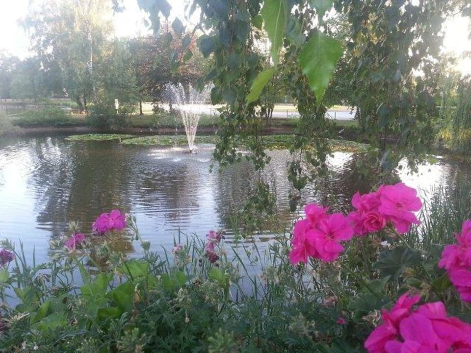 Teich mit Springbrunnen am EIngang Eurostrand Resort Lüneburger Heide