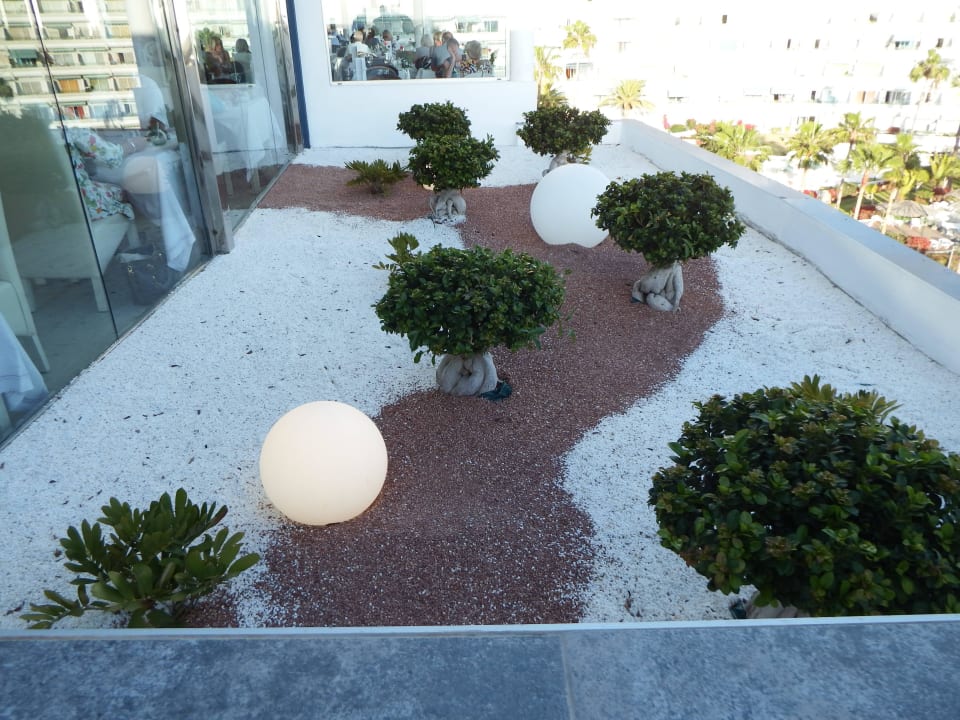 Steingarten Hotel Riu Palace Tenerife