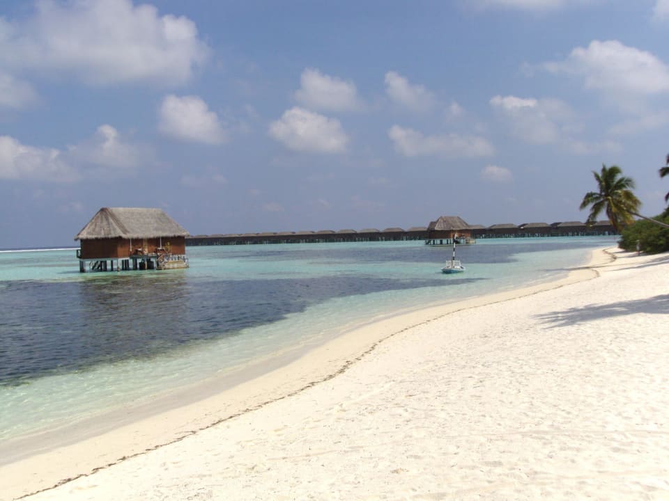Die Insel mit Honeymoon-Suite Meeru Maldives Resort Island
