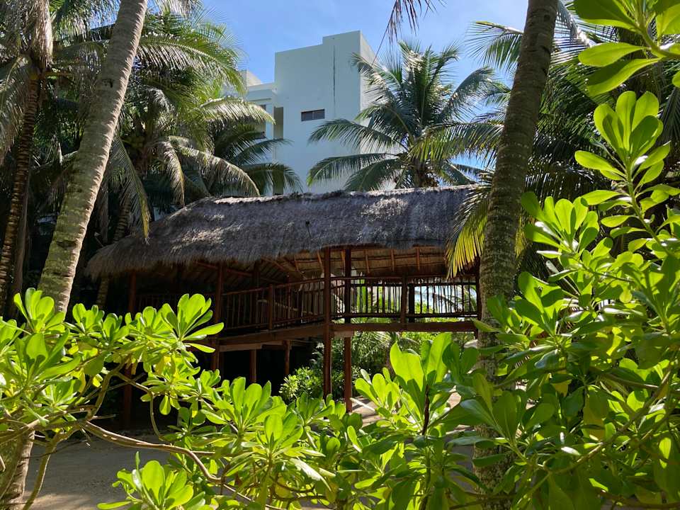 Gartenanlage Akumal Bay Beach & Wellness Resort