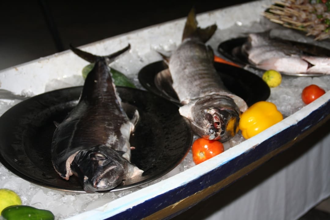 Gleich auf dem Grill Hotel Bayview Beach Resort